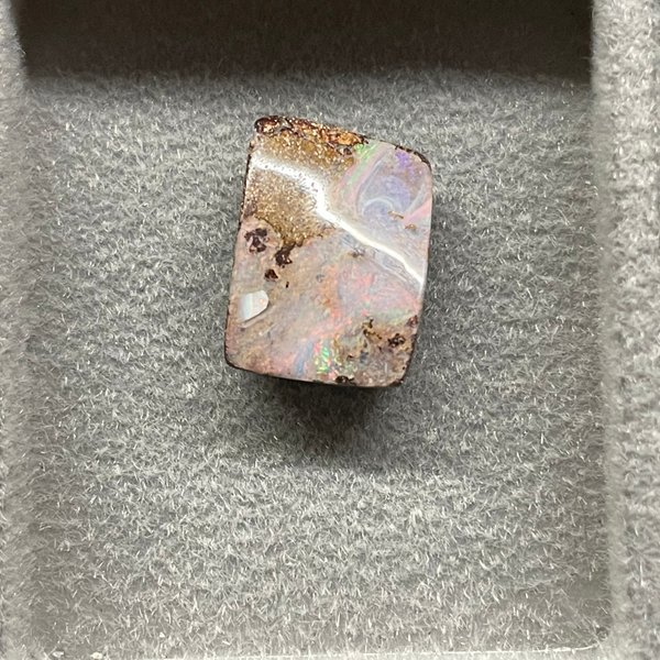 Water Opal (Dried)